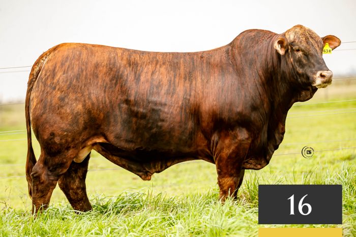 LOTE 16 - Tres Cruces Cautivo 1638