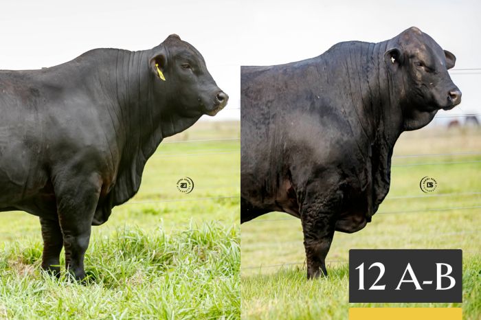 LOTE 12 A Tres Cruces El Ariel 1696 -FIV - B Tres Cruces 1550