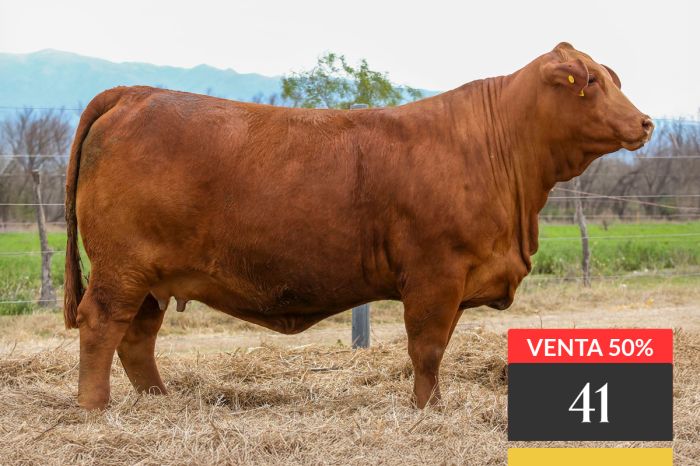 LOTE 41 - Tres Cruces LC 10 Viamonte -T/E-