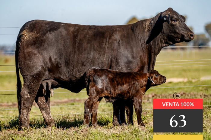 LOTE 63 - Tres Cruces Porto Alegre 9299