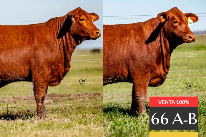 LOTE 66 - A Tres Cruces Hemingway 9395 -FIV - B Tres Cruces Capitán Sarmiento 9461 -FIV