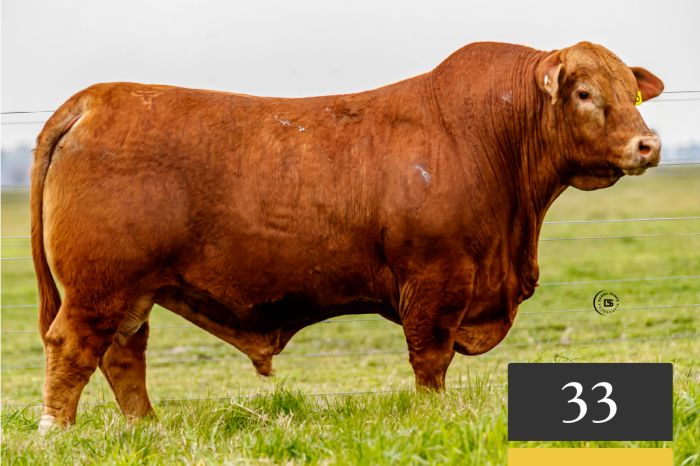 LOTE 33 - Tres Cruces Algarrobo 1480