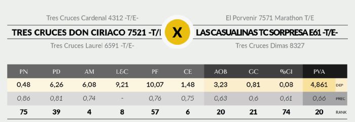 LOTE 23 - 7521 X AGUCHO