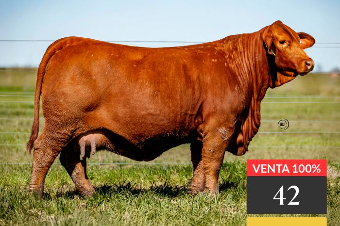 LOTE 42 - Tres Cruces Capitán Sarmiento 9371 -FIV
