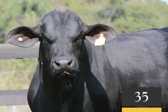 LOTE 35 - Tres Cruces ML Baldomero 80